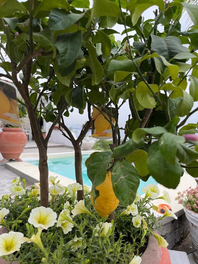Relais Villa Ettore 巴拉诺迪斯基亚 外观 照片