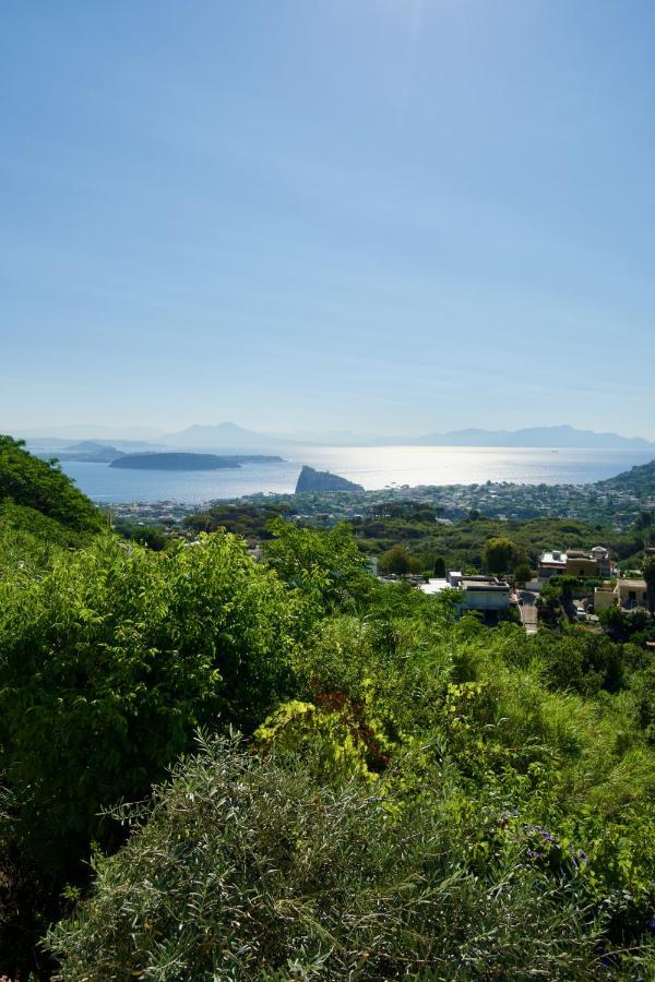 Relais Villa Ettore 巴拉诺迪斯基亚 外观 照片