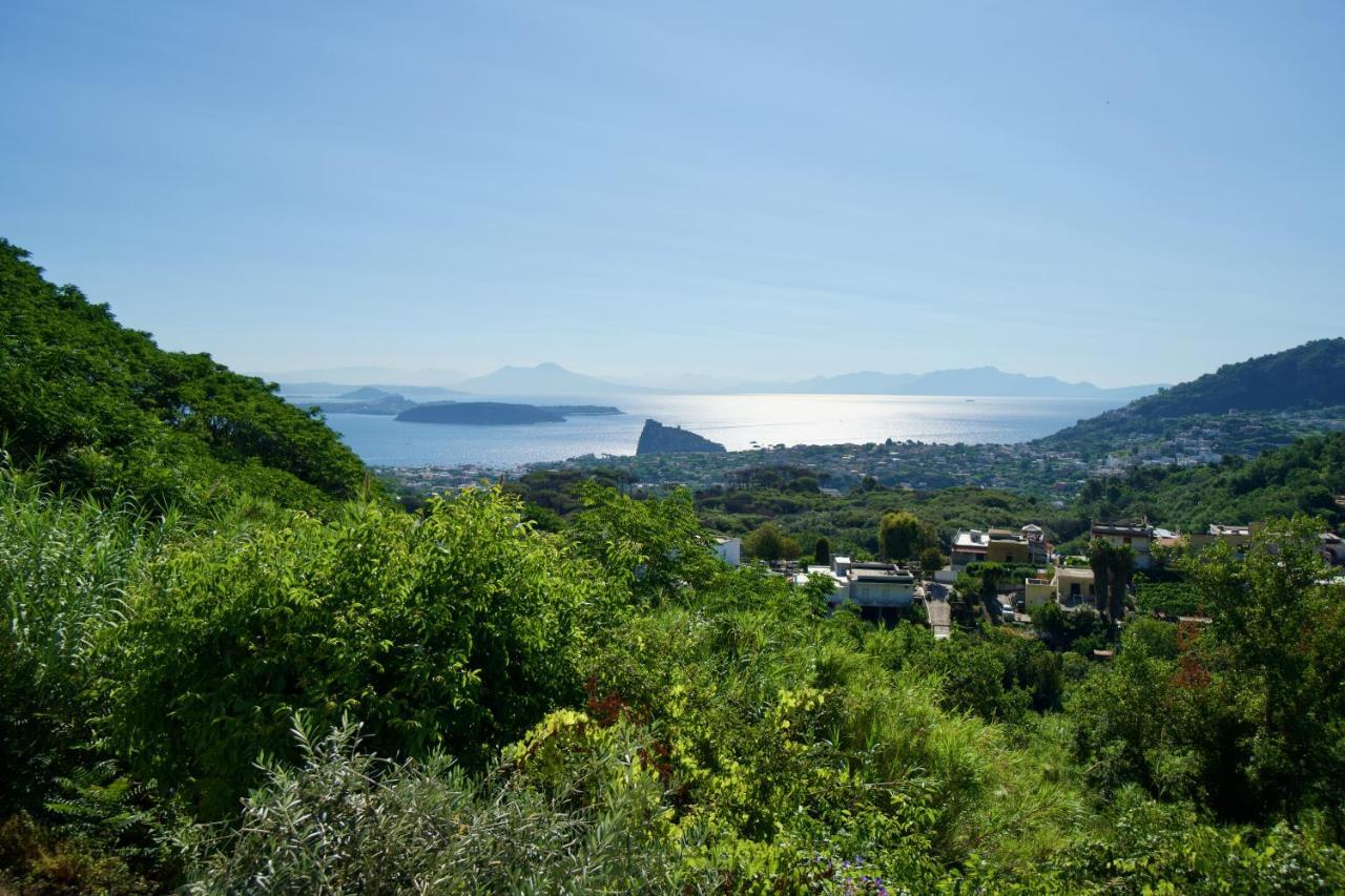 Relais Villa Ettore 巴拉诺迪斯基亚 外观 照片