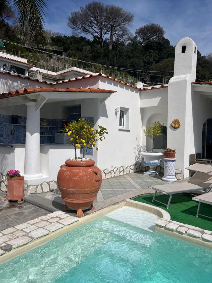 Relais Villa Ettore 巴拉诺迪斯基亚 外观 照片